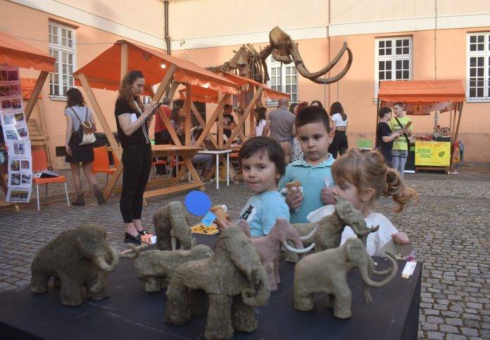 Noć muzeja