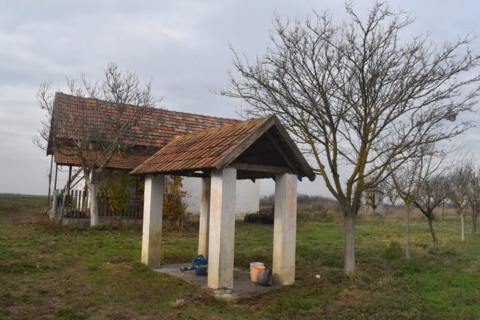 Salaš (2)