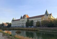 Zbog pucanja u ataru: Kikinđaninu potvrđena kazna od devet meseci zatvora