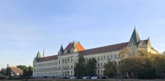Zbog pucanja u ataru: Kikinđaninu potvrđena kazna od devet meseci zatvora