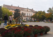 Gradski trg u najlepšim jesenjim bojama: Oktobarski bazar i sajam cveća