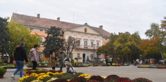 Gradski trg u najlepšim jesenjim bojama: Oktobarski bazar i sajam cveća